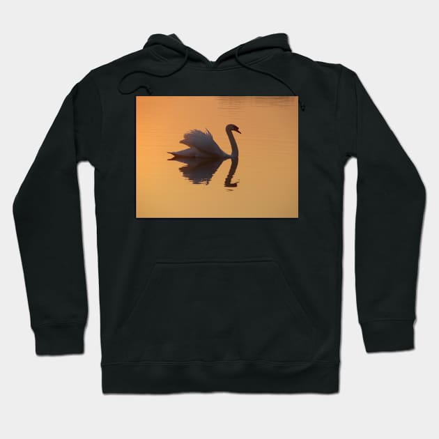 Swan Reflection Hoodie by Chris Petty